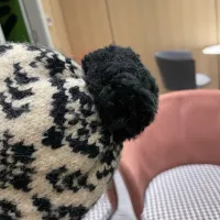 $36.00 USD Gucci Caps #1422273