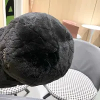 $34.00 USD Christian Dior Caps #1422300