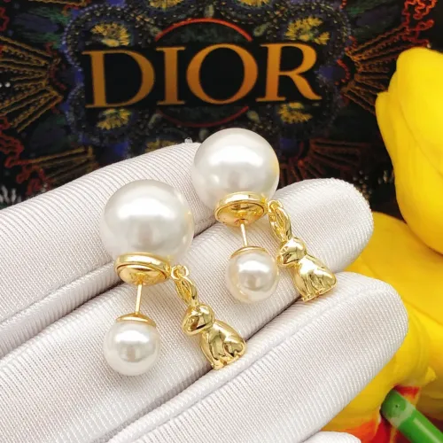 Christian Dior Earrings For Women #1426082