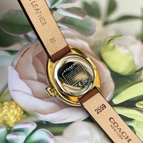 Replica Coach Quality Watches For Women #1430101 $125.00 USD for Wholesale