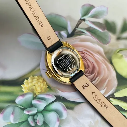 Replica Coach Quality Watches For Women #1430106 $125.00 USD for Wholesale