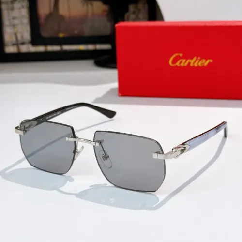 Cartier AAA Quality Sunglassess #1433836