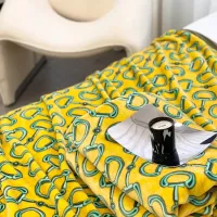$68.00 USD Gucci Blanket #1424487