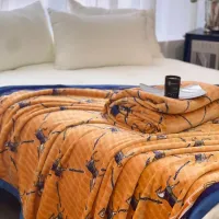 $60.00 USD Hermes Blanket #1424535
