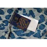 $68.00 USD Louis Vuitton LV Jackets Long Sleeved For Men #1424589