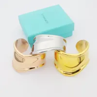 $45.00 USD Tiffany Bracelets #1424931