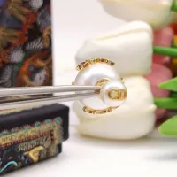 $25.00 USD Christian Dior Earrings For Women #1426088