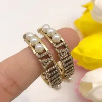 $25.00 USD Christian Dior Earrings For Women #1426118