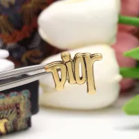 $25.00 USD Christian Dior Earrings For Women #1426142