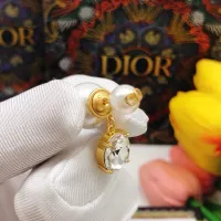 $25.00 USD Christian Dior Earrings For Women #1426163