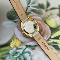 $125.00 USD Coach Quality Watches For Women #1430103