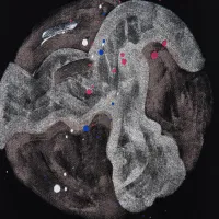 $36.00 USD Louis Vuitton LV T-Shirts Short Sleeved For Unisex #1430120