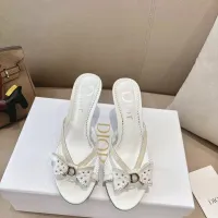 $102.00 USD Christian Dior Slippers For Women #1432129