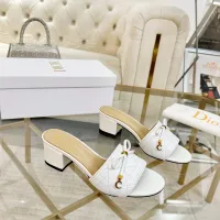 $92.00 USD Christian Dior Slippers For Women #1432138