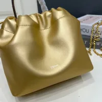 $98.00 USD Chloe AAA Quality Handbags For Women #1432254