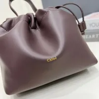 $98.00 USD Chloe AAA Quality Handbags For Women #1432256