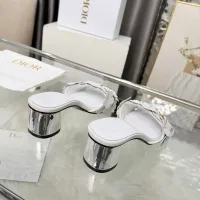 $100.00 USD Christian Dior Slippers For Women #1433052
