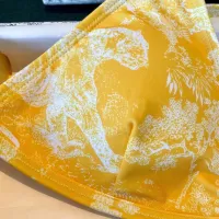 $36.00 USD Christian Dior Bathing Suits For Women #1435496