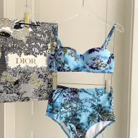 $40.00 USD Christian Dior Bathing Suits For Women #1435546