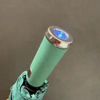 $32.00 USD Tiffany Umbrellas #1436008