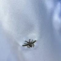 $72.00 USD Christian Dior Shirts Long Sleeved For Men #1438408